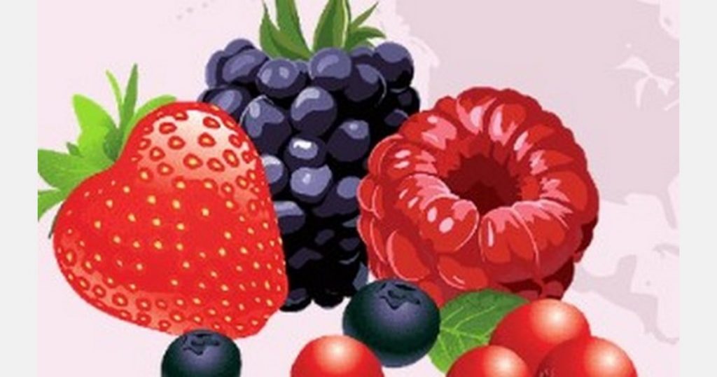 Morocco Berry Conference 2021 invite les participants à se retrouver en ligne