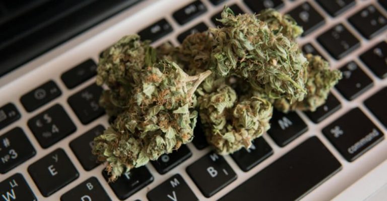 La communauté en ligne applaudit le Maroc pour la légalisation du cannabis